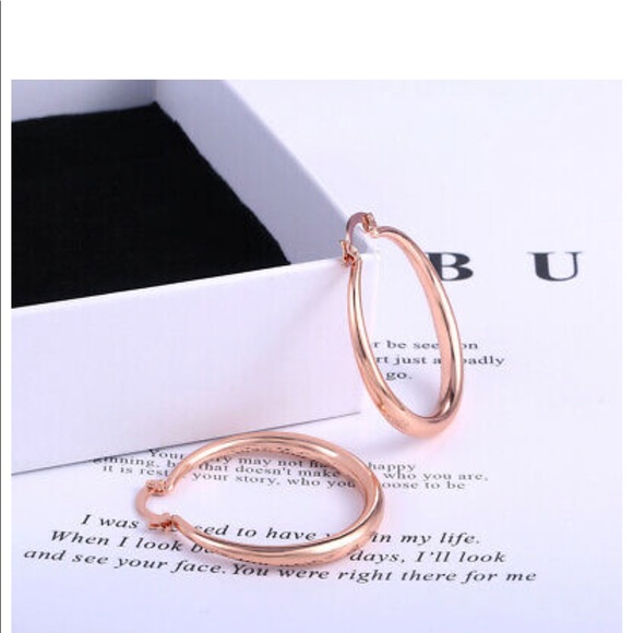 New Rose Gold Hoop Earrings for Women - Picture 3 of 6
